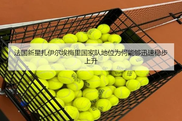 法国新星扎伊尔埃梅里国家队地位为何能够迅速稳步上升